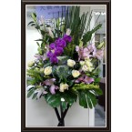 CBF-007